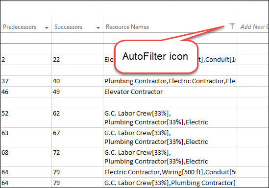 01 Auto Filter Icon On The Resource Names Column Header Project Management Best Practices Microsoft Project Tips