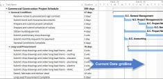 ms project print gantt chart without timeline