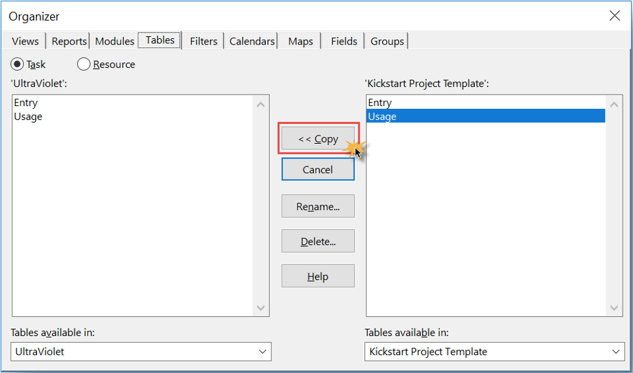Leveraging the MS Project Organizer