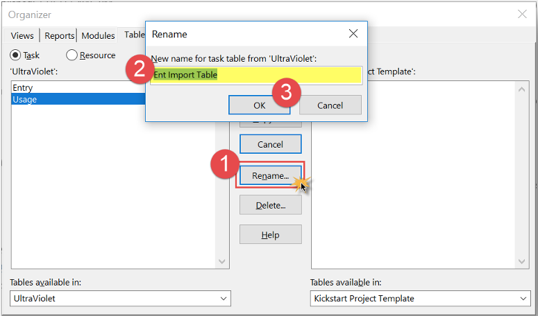 Leveraging the MS Project Organizer